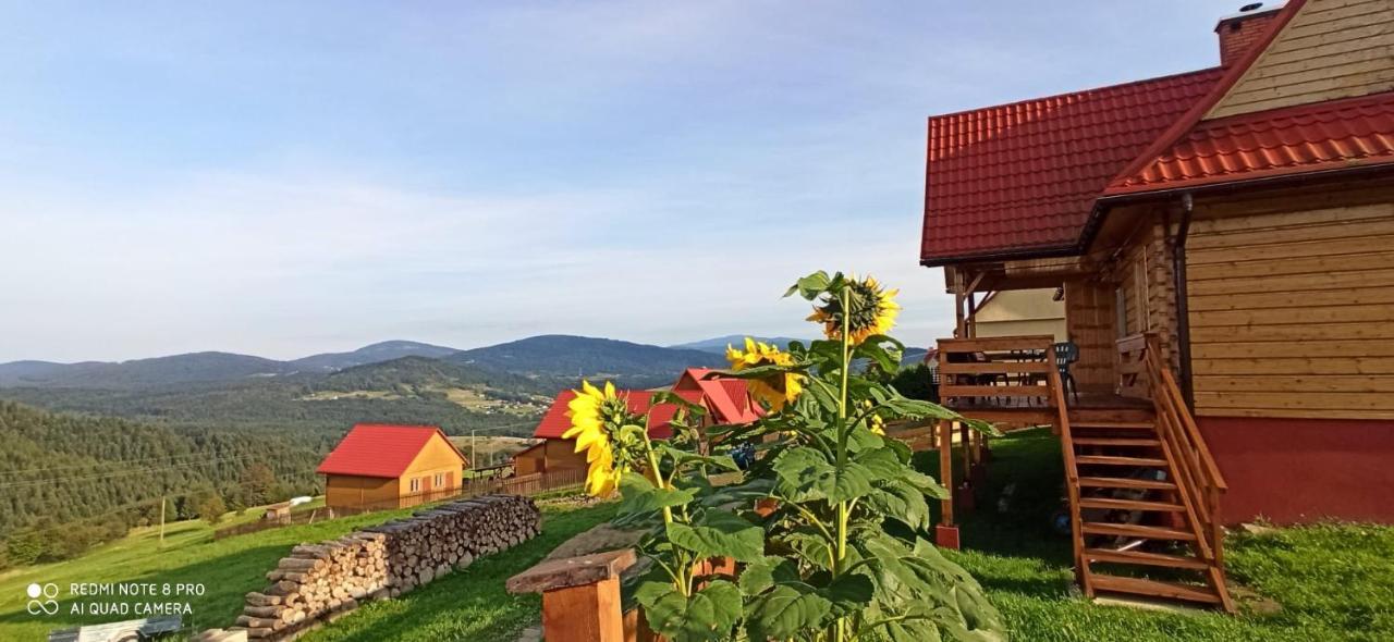 Chata Z Widokiem Na Babia Gore Pewel Wielka ภายนอก รูปภาพ