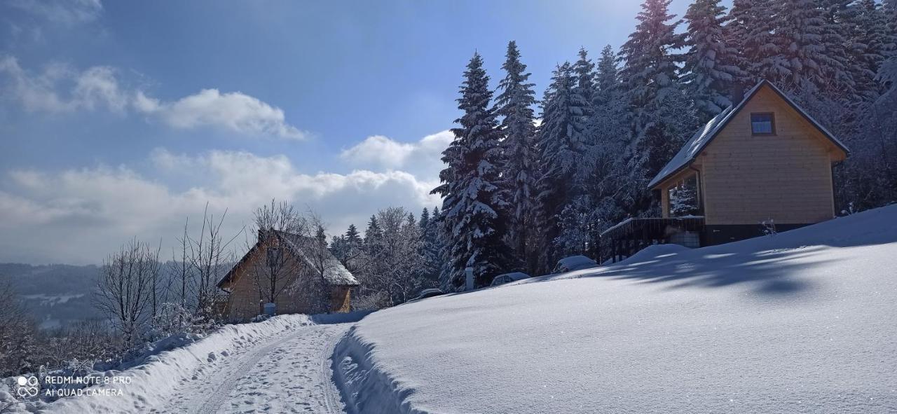 Chata Z Widokiem Na Babia Gore Pewel Wielka ภายนอก รูปภาพ
