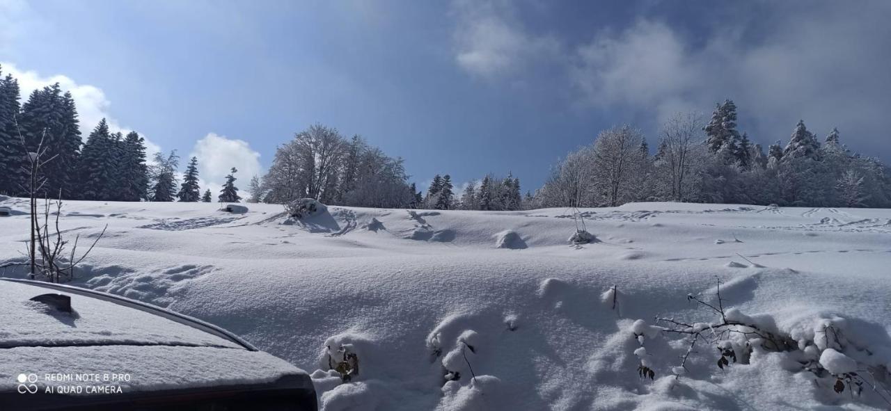 Chata Z Widokiem Na Babia Gore Pewel Wielka ภายนอก รูปภาพ